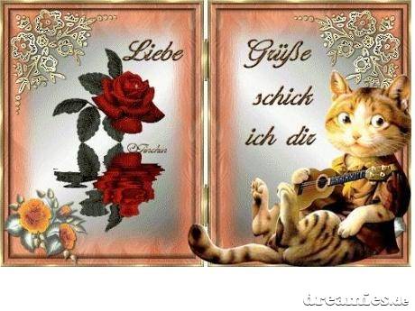 ext. Bild