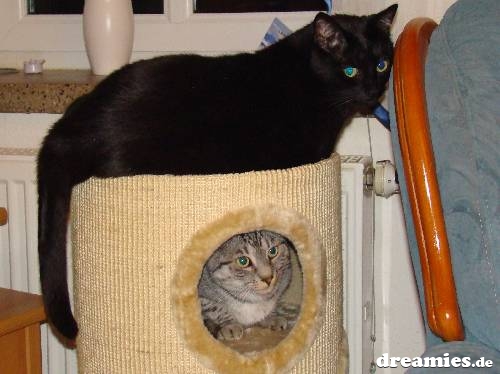 [verlinkte Grafik wurde nicht gefunden]