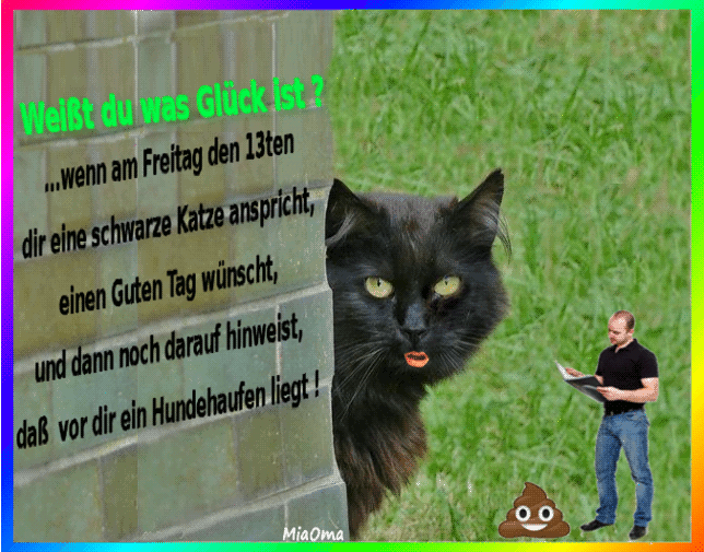 Https Encrypted Tbn0 Gstatic Com Images Q Tbn And9gcr Wvdcwurctebqntrmytnufqaz1 Gbvwzweq Usqp Cau