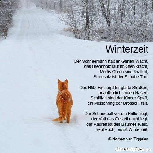 Download Sprueche winterzeit For iPhone