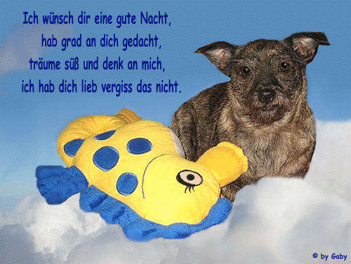 Get Niedliche gute nacht sprueche gif For Free