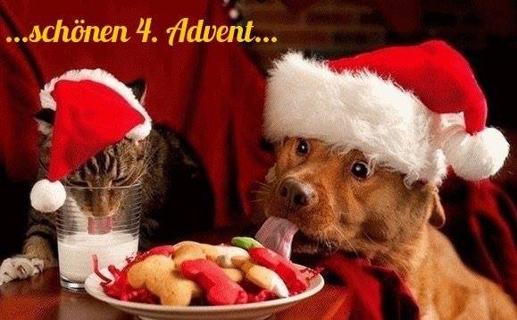 4. Advent - lustich.de