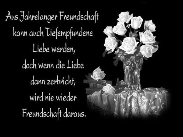 Dreamies De Gztp94dr6rm Jpg