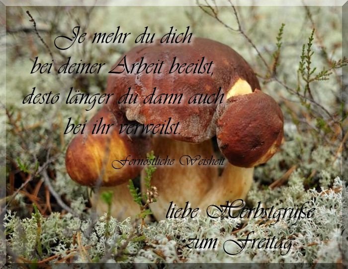 An den Beitrag angehängtes Bild: https://img2.dreamies.de/img/527/b/hhjcui9yeo4.jpg