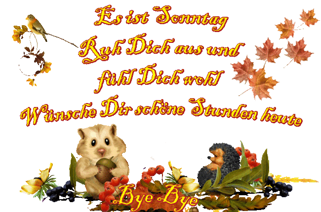 An den Beitrag angehängtes Bild: https://img2.dreamies.de/img/596/b/vxyfm9wj6vr.gif