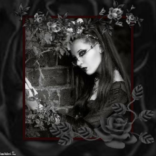 An den Beitrag angehängtes Bild: https://img2.dreamies.de/img/653/b/ajpe9icnq09.jpg