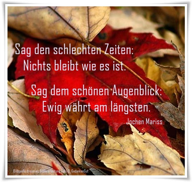 dreamies.de (h9wnzcmszbg.jpg)