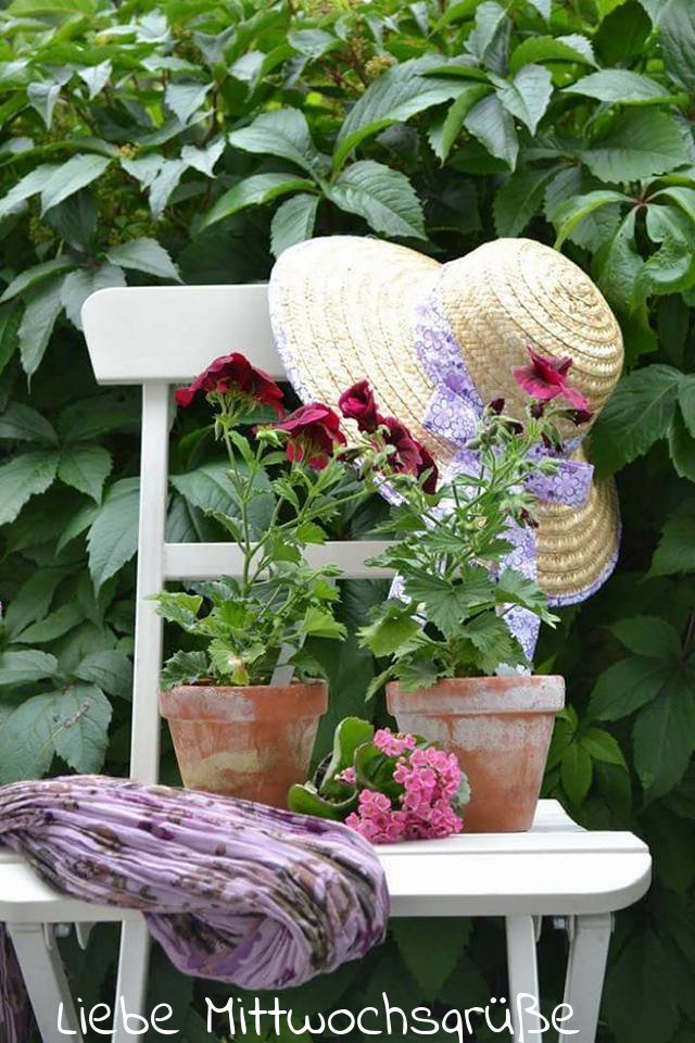 An den Beitrag angehängtes Bild: https://img2.dreamies.de/img/73/b/6h26v99jytk.jpg