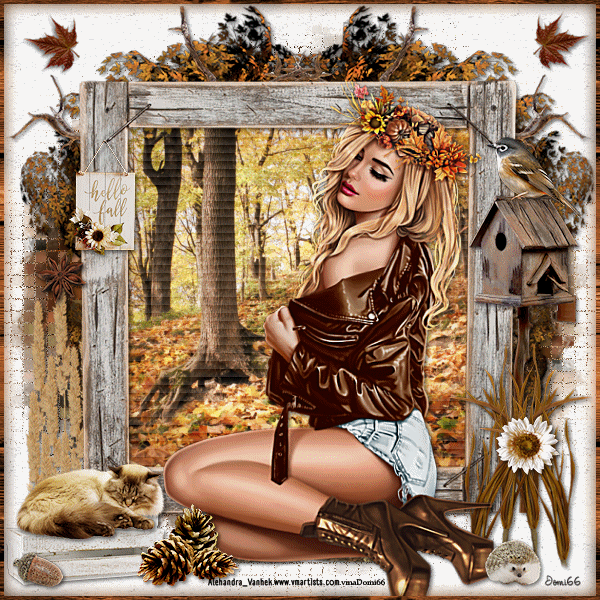 obrazek
