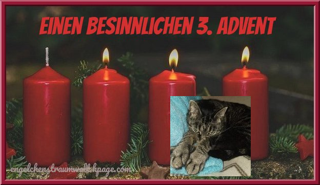 An den Beitrag angehängtes Bild: https://img2.dreamies.de/img/946/b/7qgr191lrl1.png